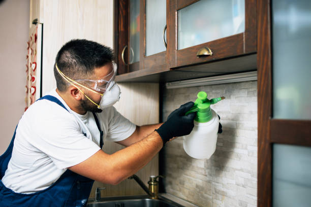Best Insect Control  in Collinsvle, IL