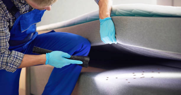 Best Pest Control Treatment  in Collinsvle, IL