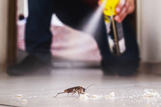 Best Residential Pest Control  in Collinsvle, IL