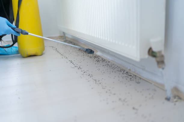 Best Emergency Pest Control  in Collinsvle, IL
